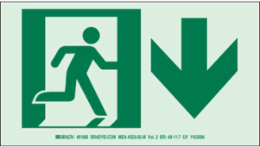 BradyGlo NYC Approved Exit Sign - 5 Inch H x 9 Inch W, Photoluminescent Polyester