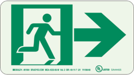 BradyGlo NYC Approved Exit Sign, 5 Inch H x 9 Inch W, Photoluminescent Polyester