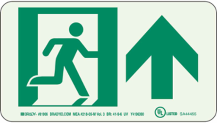 BradyGlo NYC Approved Exit Sign, 5 Inch H x 9 Inch W, Glow in the Dark, Phosphorescent Polyester