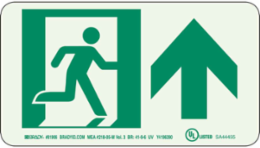 BradyGlo NYC Approved Exit Sign, 5 Inch H x 9 Inch W, Glow in the Dark, Phosphorescent Polyester