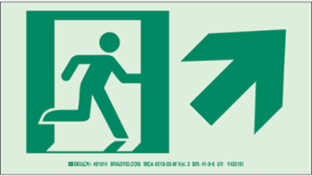 BradyGlo NYC Approved Exit Sign, 5 Inch H x 9 Inch W, Glow in the Dark, Self-Adhesive