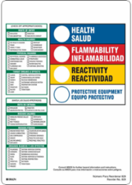 HEALTH/SALUD, FLAMMABILITY/INFLAMABILIDAD, REACTIVITY/REACTIVIDAD, PROTECTIVE EQUIPMENT/EQUIPO PROTECTIVO…, 10" H x 7" W, Black/Green/Red/Yellow on White, Pack of 100 Labels