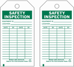 Inspection & Material Control Tags, SAFETY INSPECTION, 5.75" H x 3" W, Green on White