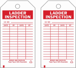 Inspection & Material Control Tags - Write-On Paper Cardstock, LADDER INSPECTION, Red on White