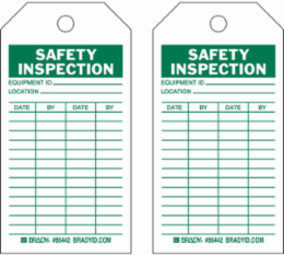 Inspection & Material Control Tags - Write-On Paper Cardstock, SAFETY INSPECTION, 5.75" H x 3" W, Green on White
