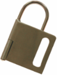 Small Hinged Metal Lockout Hasp
