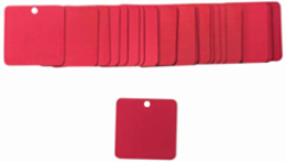 Blank Valve Tags, 2 Inch x 2 Inch, Anodized Aluminum, Red, 25 Tags Per Pack