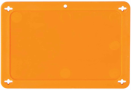 Blank Valve Tags, 4.625 Inch H x 3.125 Inch W, Durable Plastic, Orange