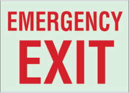 BradyGlo Emergency Exit Sign, 10 Inch H x 14 Inch W, Glow in the Dark, Red on Glow