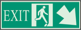 BradyGlo Exit Sign, 5 Inch H x 14 Inch W, Photoluminescent Polyester, Glow in the Dark