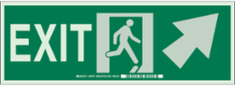 BradyGlo Exit Sign, 5 Inch H x 14 Inch W x 0.063 Inch D, Glow in Dark, NFPA Compliant