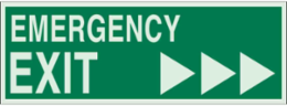 BradyGlo Emergency EXIT Sign, 5 Inch H x 14 Inch W, Glow in the Dark, Right Arrow
