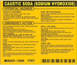 CAUSTIC SODA (SODIUM HYDROXIDE) Label, 3.75 Inch H x 4.5 Inch W, Vinyl, Outdoor Use