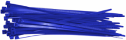 Valve Tag Cable Ties, Blue