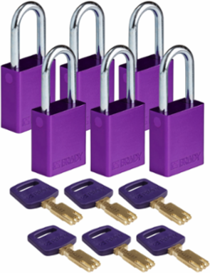 SafeKey Lockout Padlock 1.5 Inch Aluminum, Keyed Alike, 6 Pack