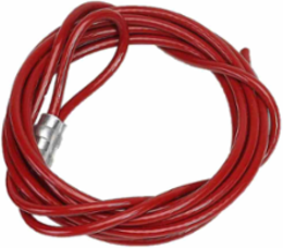 Plastic-Coated Steel Cable 10', Red