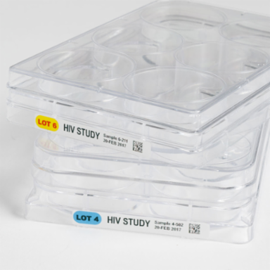 BradyJet™ Polypropylene Label 0.25 Inch H x 2 Inch W, 2000 Labels/Roll, Chemical Resistant