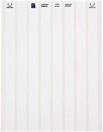 Laser Printable Polyester Sign and Label Blanks, 0.25" H x 0.8" W, Pack of 33 Sheets
