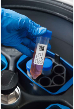 Polypropylene Laboratory Labels, 1" H x 0.375" W, Roll of 2000 Labels