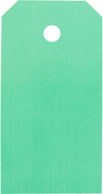 THT Printable Tags, 5.75" H x 3" W, Polyester, Green