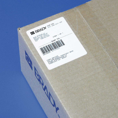 Paper Labels, 4" H x 4" W