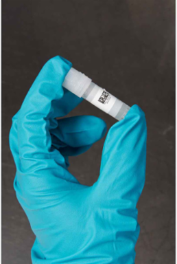 FreezerBondz Polyester Laboratory Labels, 0.75 Inch H x 1 Inch W, 2500 Labels
