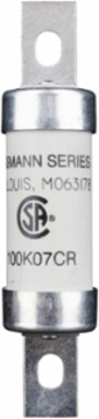 Current Limiting Fuse, 100A, 600 Vac/250 Vdc, Ceramic Body, 3.625 Inch Height