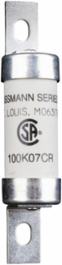 Current Limiting Fuse, 100A, 600 Vac/250 Vdc, Ceramic Body, 3.625 Inch Height