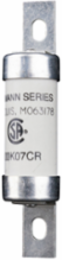 Current Limiting Fuse, 100A, 600 Vac/250 Vdc, Ceramic Body, 3.625 Inch Height