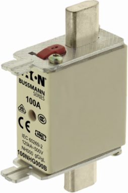 NH Fuse 500V 100A 120 kAIC Live Gripping Lug Square Body
