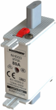 Low Voltage NH Fuse 10A 500V 120kAIC Square Body