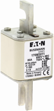 High Speed Square Body Fuse 690V, 80A, 200 kAIC, DIN Mount
