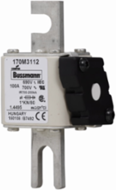 High-Speed Square Body Fuse, 100A, 690V, 200 kAIC, DIN Mounting