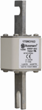 High Speed Square Body Fuse, 125A, 690V AC, 200 kAIC, Blade End x Blade End