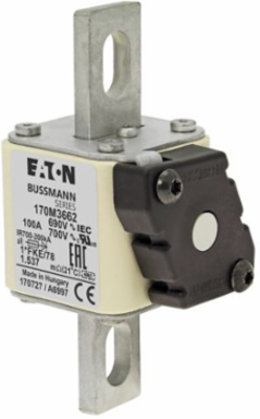High Speed Square Body Fuse 100A 690V AC 200 kAIC Class aR