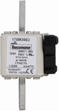 High Speed Square Body Fuse, 125A, 700V (UL), 200 kAIC, Blade End X Blade End