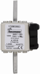 High Speed Square Body Fuse, 125A, 700V (UL), 200 kAIC, Blade End X Blade End
