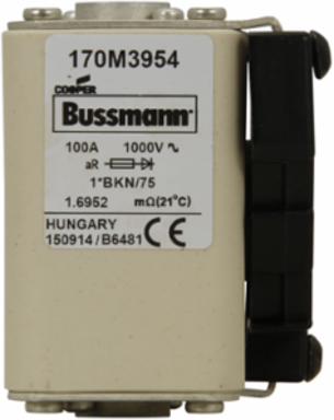 High Speed Fuse 100A RMS, 700 Vac, 5.433 Inch Length, Class aR