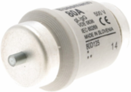 Low Voltage D Fuse 80A Time-Lag 500V Ceramic Body 10 per Package