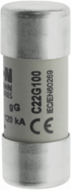 Cylindrical Fuse 22 x 58 mm, 100 Amps, 500 Volts AC, 120 kA Breaking Capacity