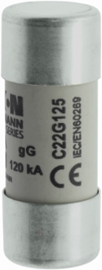 Cylindrical Fuse 22 x 58 mm, 500 V AC, 125 A, 120 kA Breaking Capacity, Class gG/gL