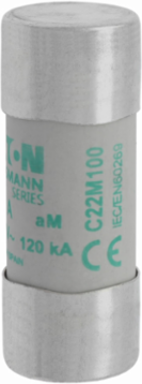 Low Voltage Cylindrical Fuse 22 x 58 mm, 100 Amps, 500 Volts AC, 120 kA