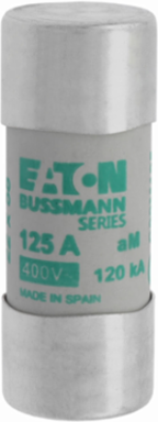 Low Voltage Cylindrical Fuse 22 x 58 mm, 400 V AC, 125 A, 120 kA Breaking Capacity