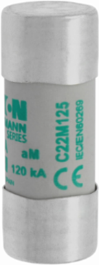 Low Voltage Cylindrical Fuse 22 x 58 mm, 400 V AC, 125 A, 120 kA Breaking Capacity