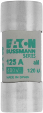 Low Voltage Cylindrical Fuse 22 x 58 mm, 400 V AC, 125 A, 120 kA Breaking Capacity