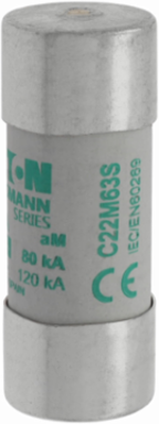 Low Voltage 22 x 58 mm Cylindrical Fuse, 63 Amps, 690 Volts AC, 80 kA Breaking Capacity