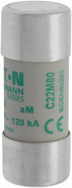 Low Voltage 22 x 58 mm Cylindrical Fuse, 500V AC, 80A, 120 kA Breaking Capacity