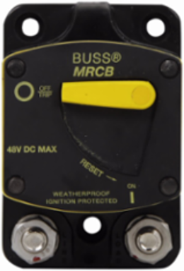 Marine Rated Circuit Breaker 100A, 5 kAIC, 5/16 Inch Copper Terminal