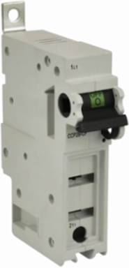 UL98 Fusible Disconnect Switch, 600 Vac, 125 Vdc, 100A, Three-pole
