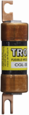 Current-limiting HRC Fuse, 30A, 600 Vac, 250 Vdc, Class C